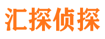 南海市侦探公司